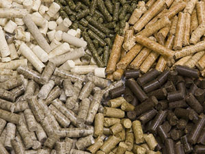 wood pellets development