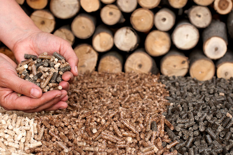 various wood pellets