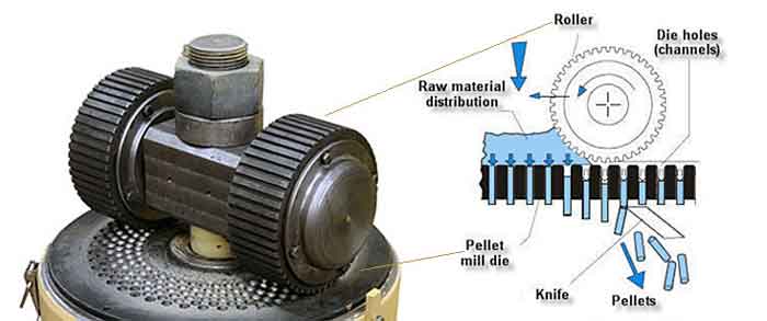 flat die pellet mill roller and die constructure